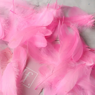 Высокое Качество натуральные перья цветные маленькие гусиные перья 5-10 см реквизит для фотосъемки фон для фотосъемки DIY украшения