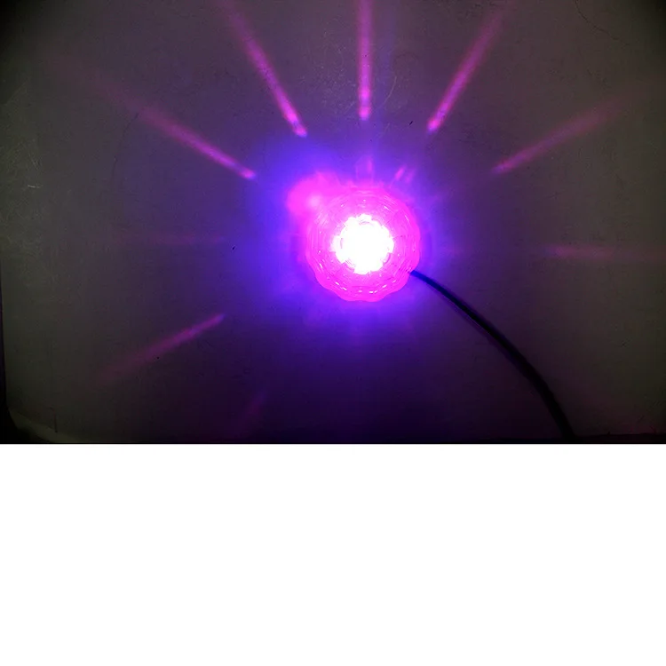 8762804294_1288510619