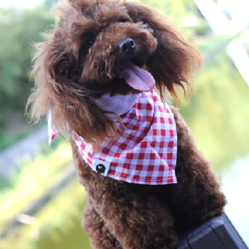 

PipiFren Dogs Scarf Grooming Products Collar Bandana Pets Accessories Cats Tie Wedding Shop Yorkshire Chihuahua pettorina cane