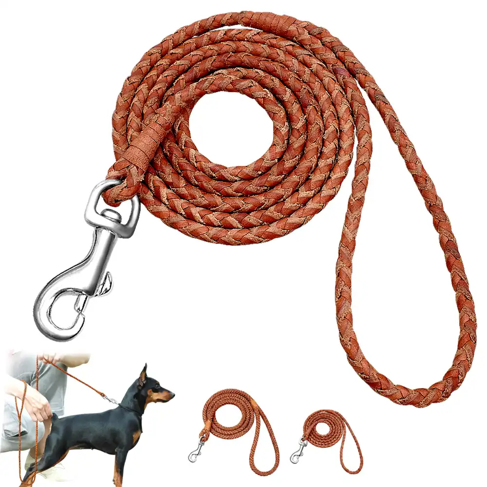 Long leash for small dogs Clearance