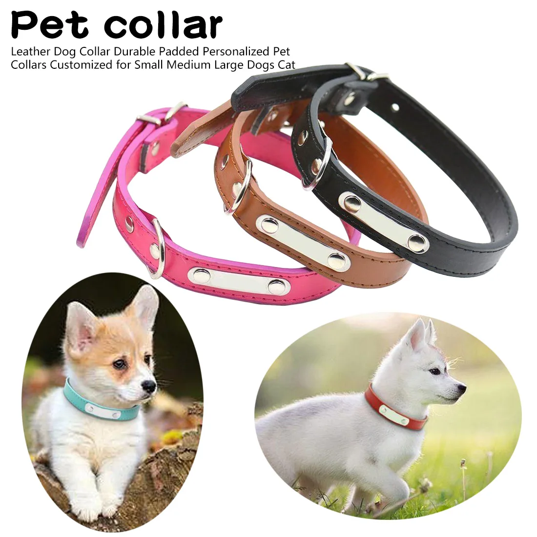 different dog collars