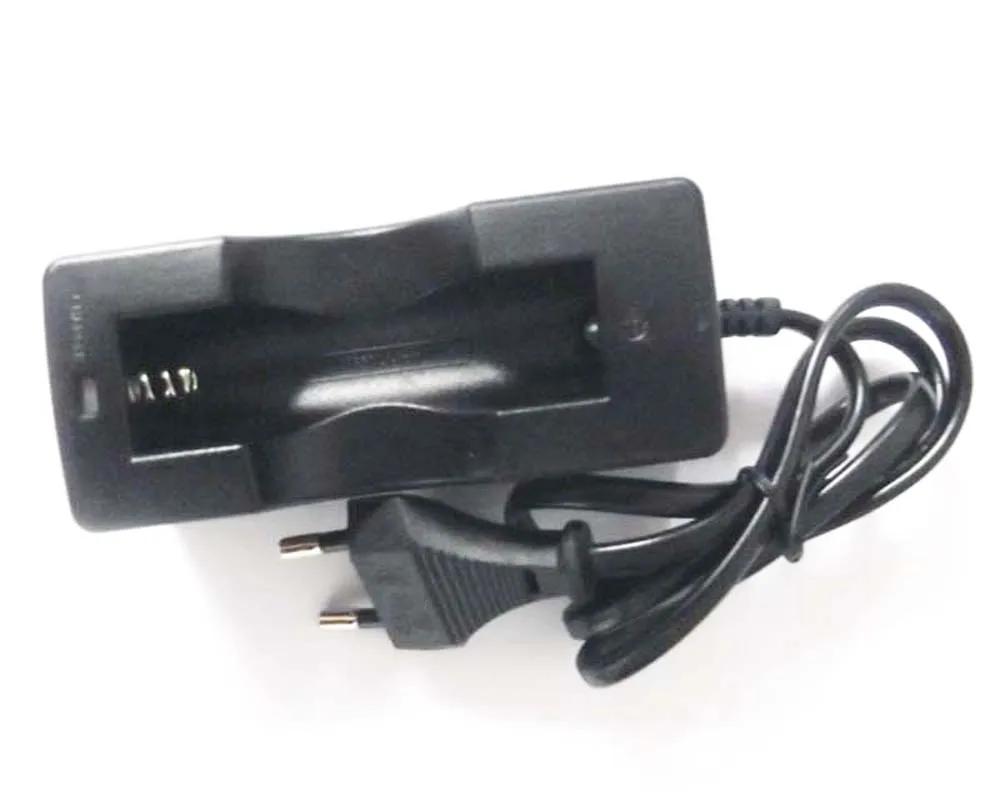 Smart Charger-2