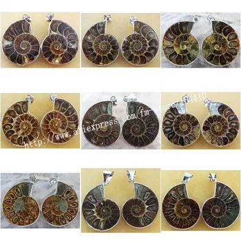 

10 Pairs/Lot Mixed Natural Ammonite Fossil stone Pendant Bead Suppliers
