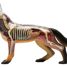 3D головоломка для детей DIY игрушки собака Сборная модель в сборе игрушка для животных полностью отстегивающиеся детали для тела Детские научная образовательная игрушка