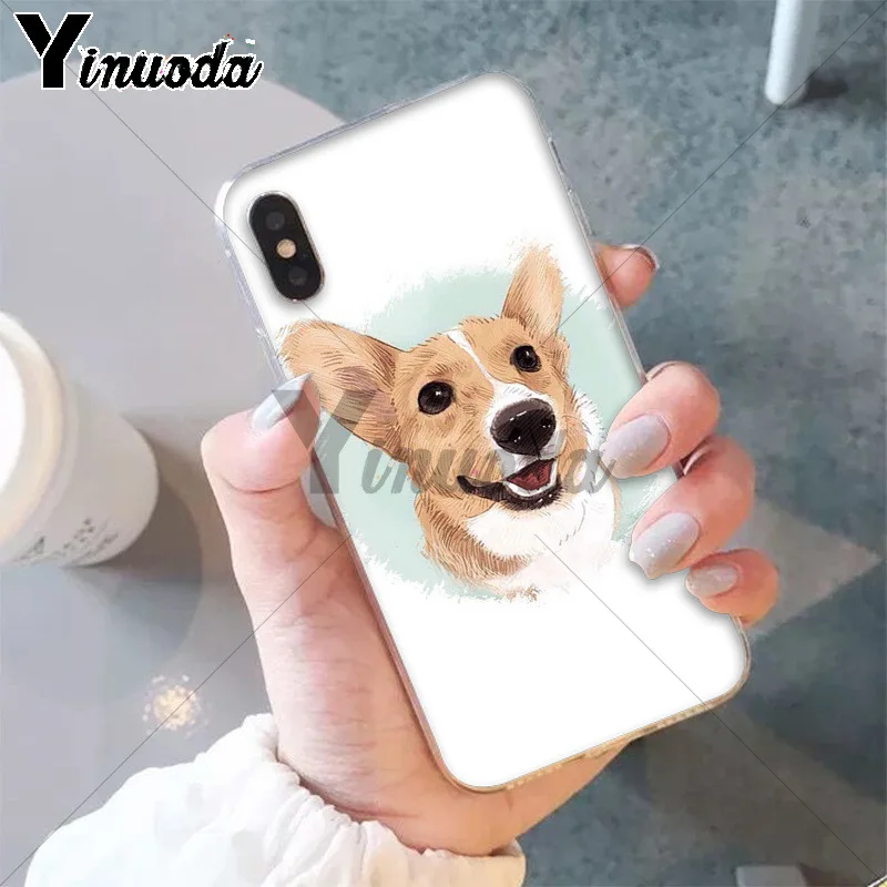 Best friend animal corgi