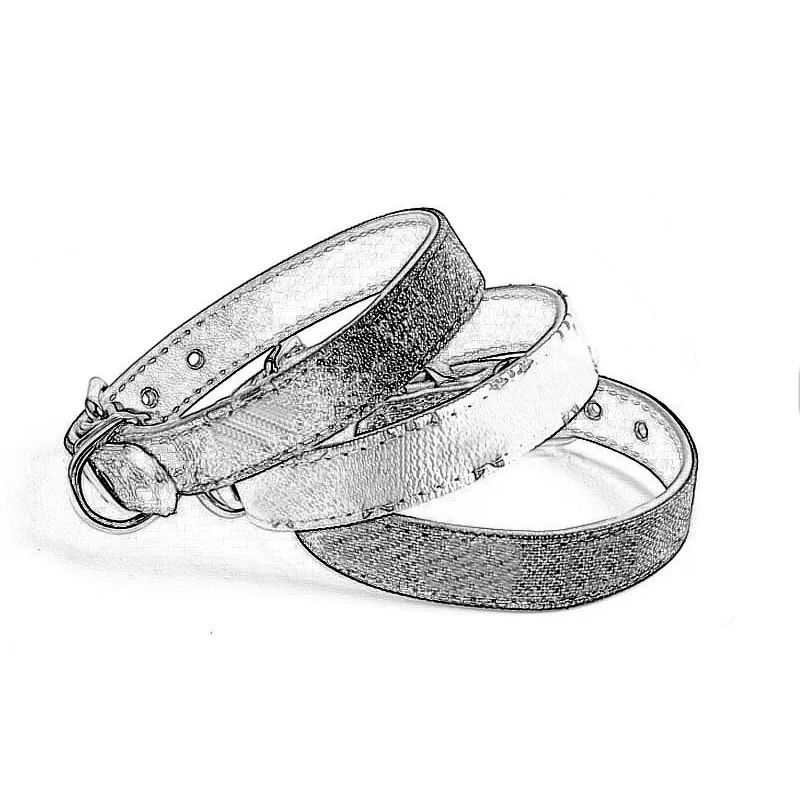 Ceny Obroża i smycz dla małych psów zwierzęta domowe produkt Vip LC0155