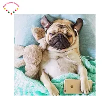 5d Diy Diamond Embroidery Fashion Diamond Painting Inlaid Decorative Embroidery hanging system animal A dog listening to music
