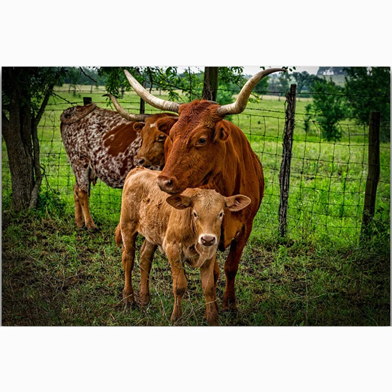 

5D DIY Full Square Diamond Painting Cross Stitch "Three cows" 3D Diamond Embroidery Rhinestone Mosaic Home Decor