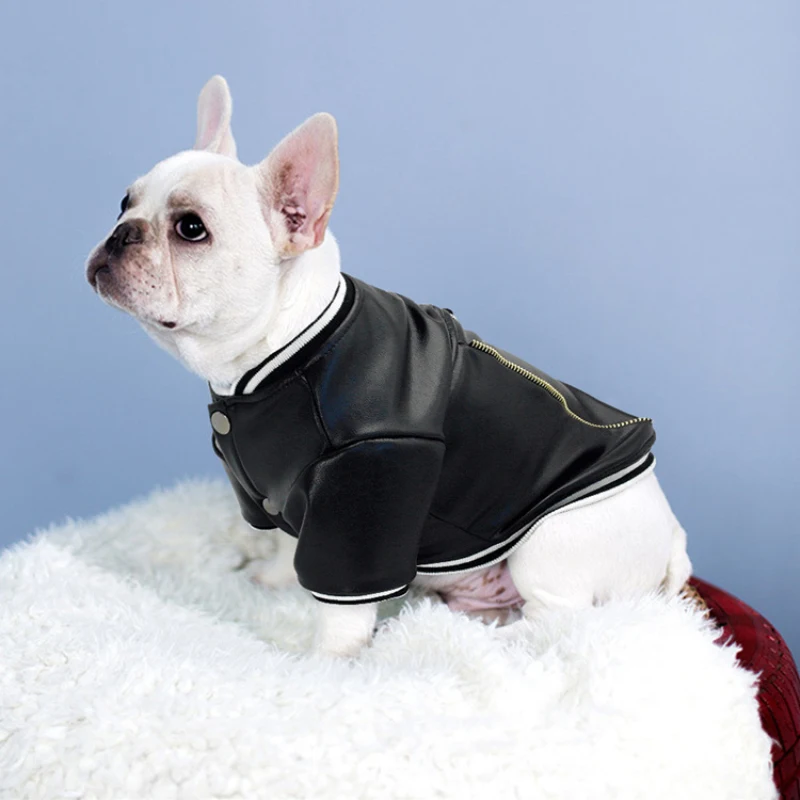 Leather Dog Jacket Winter Pug Clothes Chihuahua Poodle Bichon