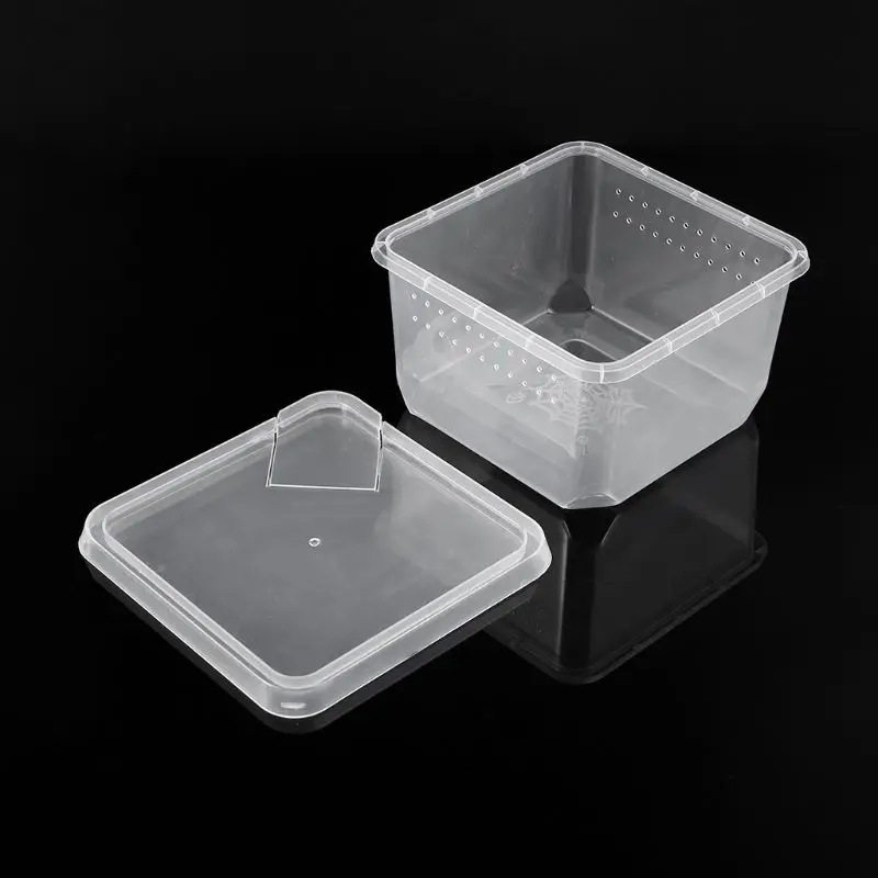 

Reptile Terrarium Feeder Breeding Box Tortoise Spider Lizard Beetle Insect House