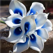 Пикассо Калла лилии Королевский синий букет цветы каллы для невесты букеты невесты Свадебные Украшения Корсаж самодельные цветы