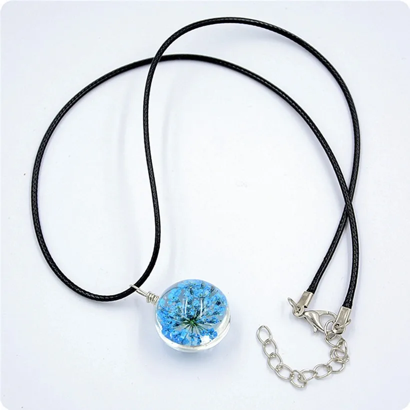 3158754558_1467425893