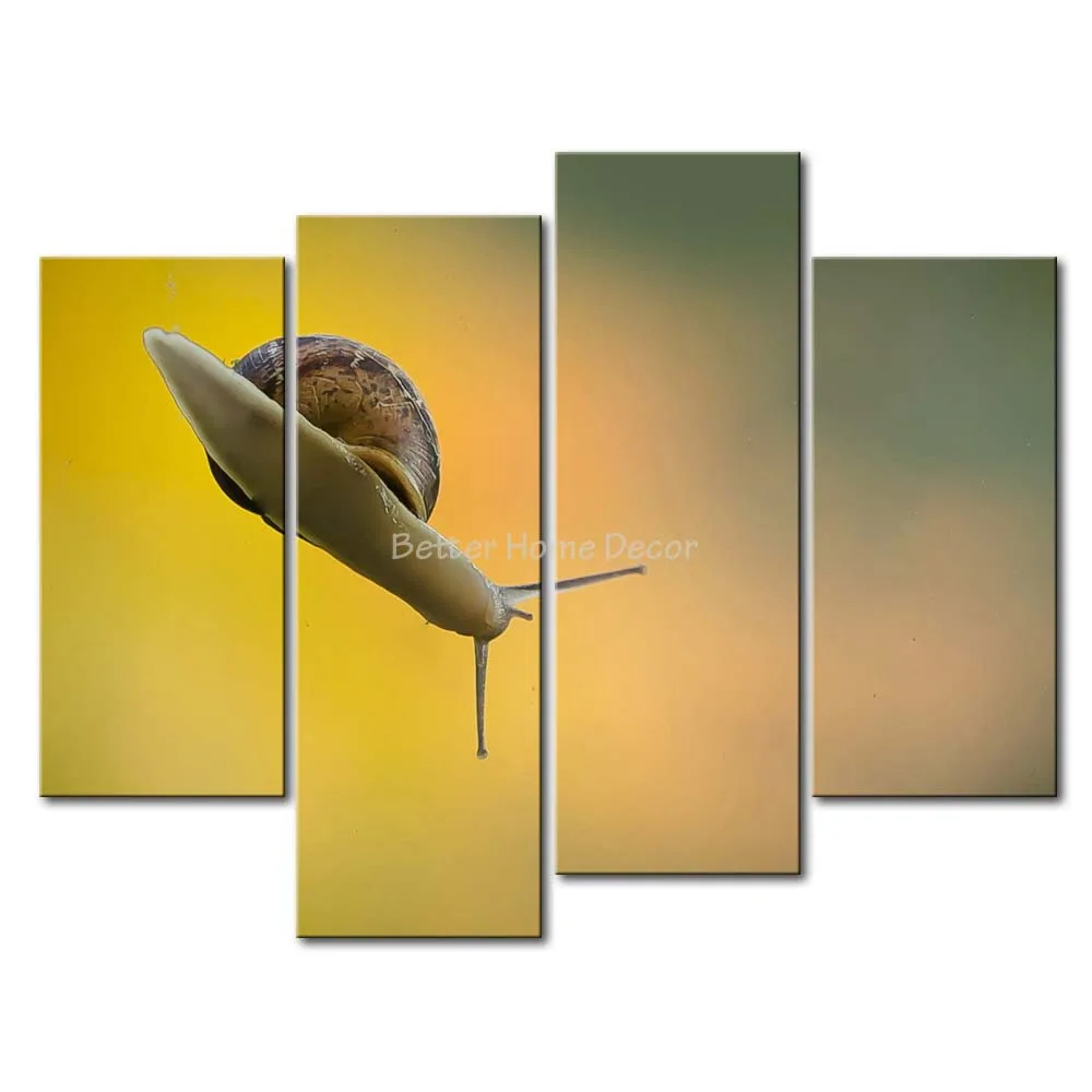 Online kopen wholesale pictures slakken uit china pictures slakken ... Woonkamer deco van verklaringen
