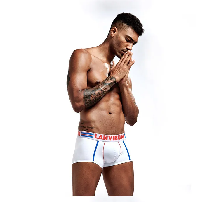 Men Breathable Boxers Soft Cotton Boxers Underwear Men Underpant U Convex Pouch  Men's Underwear Shorts Slips Cueca sexy guy underwear