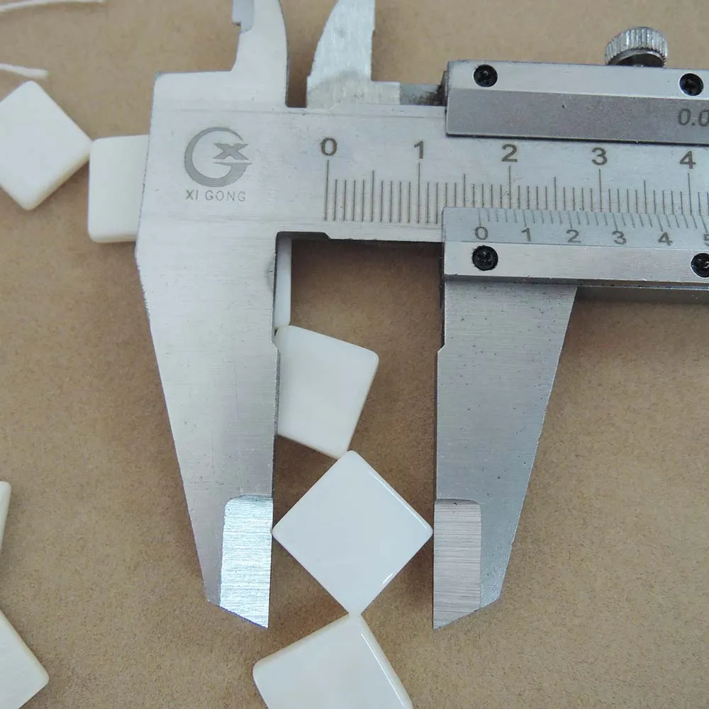 DSCN6411