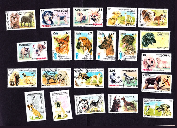 O1CN01hRqarM21ZaYKiOubV_!!136196999