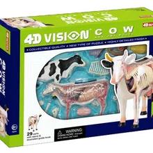 4D мастер развивающие игрушки модели животных собранные коровы анатомическая модель