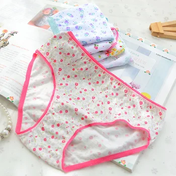 6Pcs/Lot Cotton Girls Kids Short Briefs Children Underwear Underpants Baby Panties 2-12Years 1