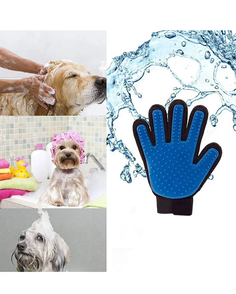 dog brush