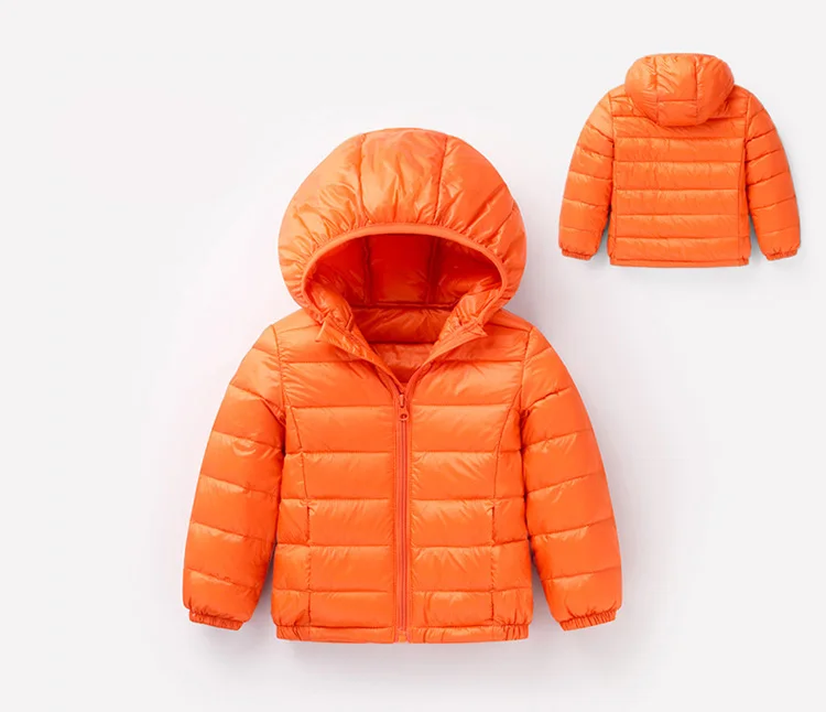 4447451882_1223885997