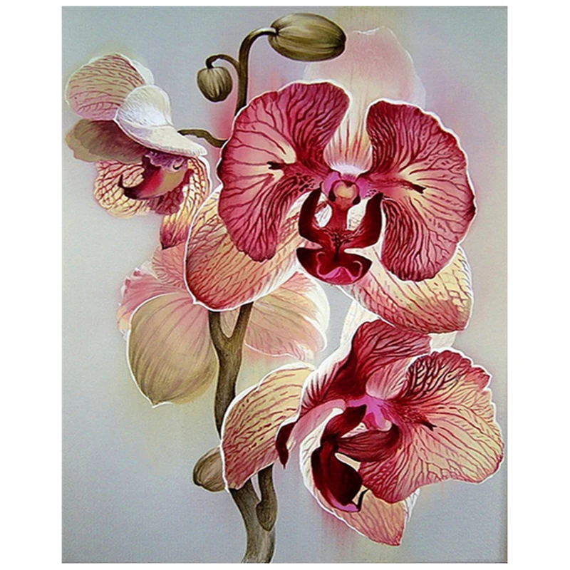 

5D DIY Full Square Round Diamond Flower Orchid Embroidery Cross Stitch Rhinestone Mosaic Decor Gift