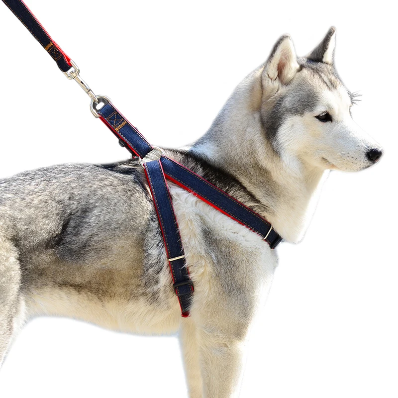4-Size-Dog-Leashes-Adjustable-Denim-Pet-Harness-Set-Lead-Leash-Training-Walking-Belt-For-Small