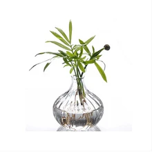 Стекло/гидропонная ваза, офисное растение, стеклянные бутылки, полосатая форма процесс украшения дома