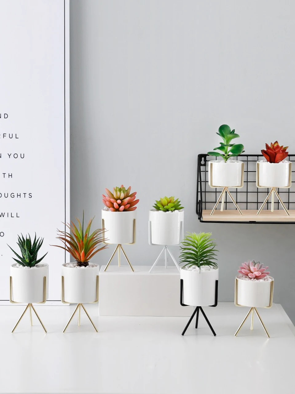 5plant pot