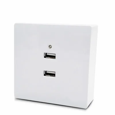 

Smart Home Best Dual USB Port 2000mA Wall Charger Adapter EU Standard Electrical Plug Socket Power Outlet Panel 110~250V