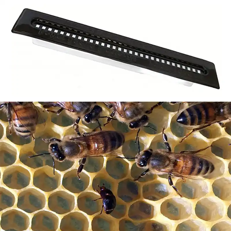 2PCS black small beehive beetle blaster beehive trap beekeeping equipment toolRS
