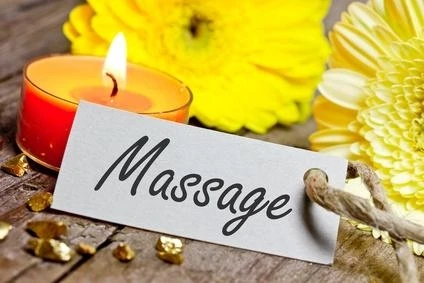 Massage Gloves Garshana Raw Silk Dry Ayurvedic SPA Massage Gloves massage gloves