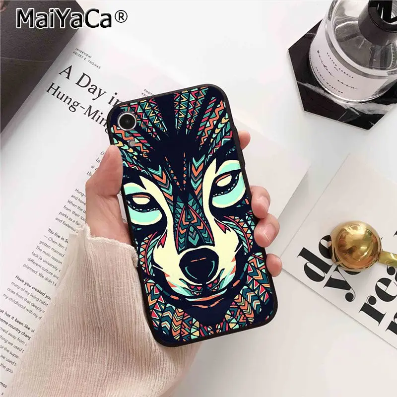 Animals Lion Wolf Owl Elephant Lion Tiger