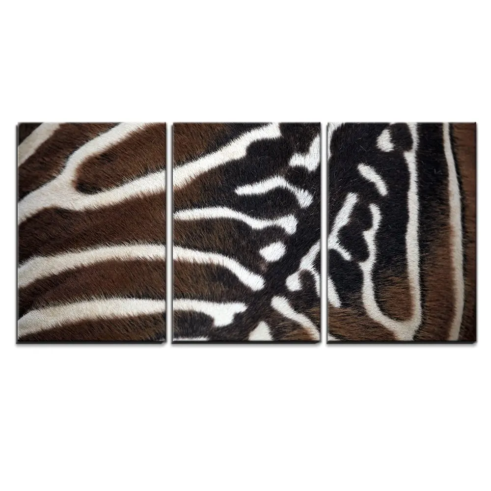 Панно из 3 частей книги по искусству Maneless Зебра (Equus Quagga Borensis) текстура кожи диких