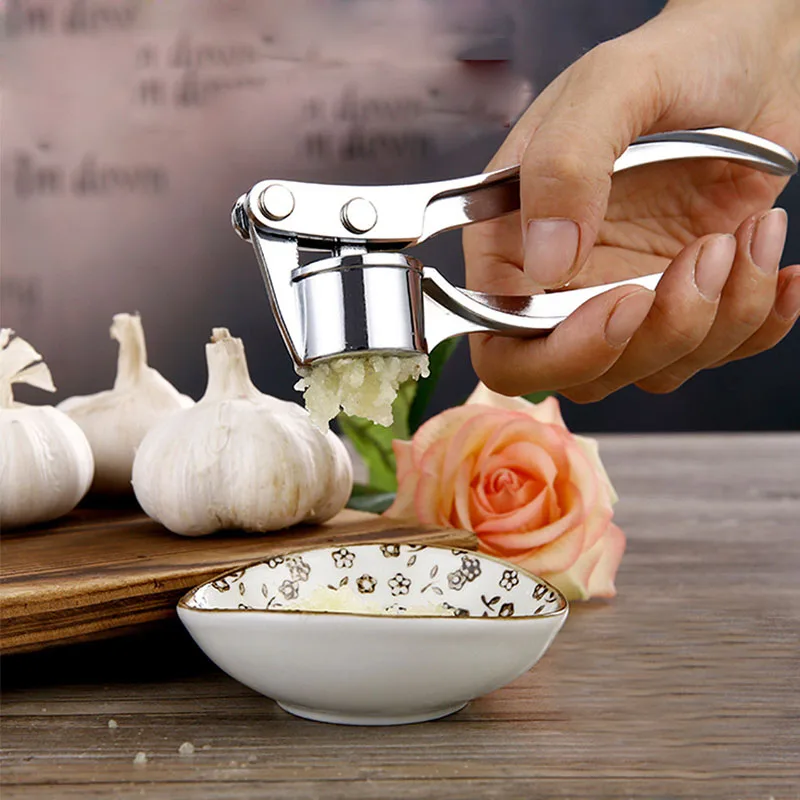 

Hot Sale High Quality Stainless Steel Garlic Masher Creative Kitchen Tools Garlic Slicers Free Shipping