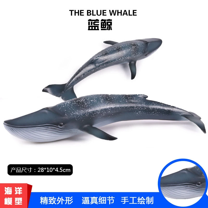 Simulación De Ballena Modelo De Juguete Juguetes De Simulación De Ballena Modelo De Juguete Juguetes De