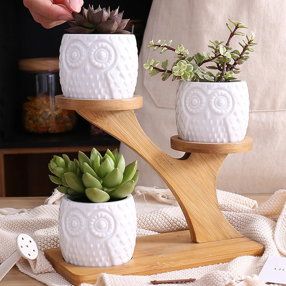 Pokich простые белые креативные суккулентные керамические цветочные горшки в форме Совы с Treetop бамбуковая комбинация держателей горшок для комнатных растений