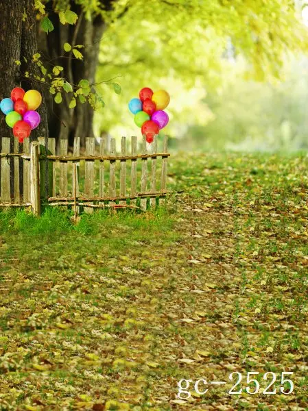 

5x10ft Vinyl Custom Photography Backdrops Props Photo theme Backgrounds GC-2525