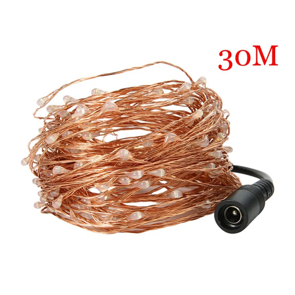 DC12V 10M 20M 30M 50M copper silver line LED string waterproof holiday lighting fairy tree Christmas wedding party decoration DC12V 10M 20M 30M 50M copper silver line LED string waterproof holiday lighting fairy tree Christmas wedding party decoration