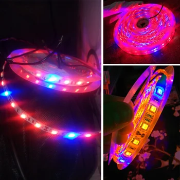 

5 M LED Phyto Lamps Full Spectrum LED Strip Light 300 LEDs 5050 Chip LED Fitolampy Grow Lights For Greenhouse Hydroponic plant