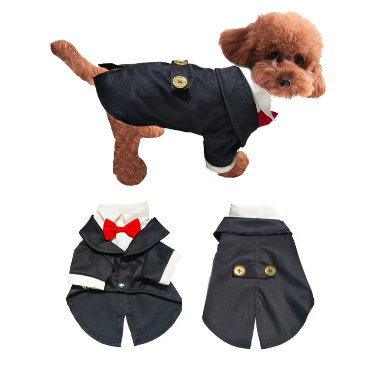 pet clothing market
