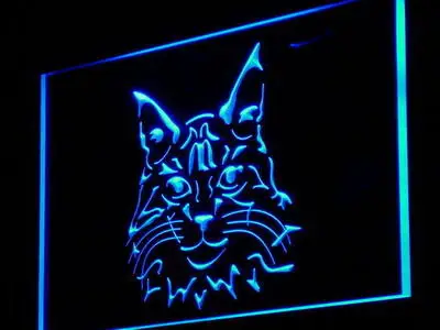 i989 Maine Coon Cat Kitty Display Shop Decor Neon Light Signs On/Off Switch 20+ Colors 5 Sizes | Дом и сад