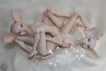 BJD 1 4 doll fashion sphynx cat soom luts volks free eyes