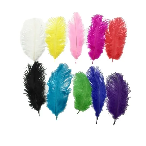 Buy Beautiful Multi Color 10PCS Ostrich Feather 15