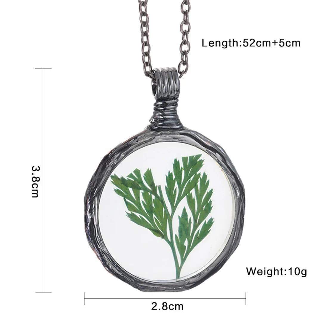 Creative Women Men Handmade Dried Green Plant Pendant Necklace Trendy Resin Glass Round Water Drop Long Chain Necklace Jewelry