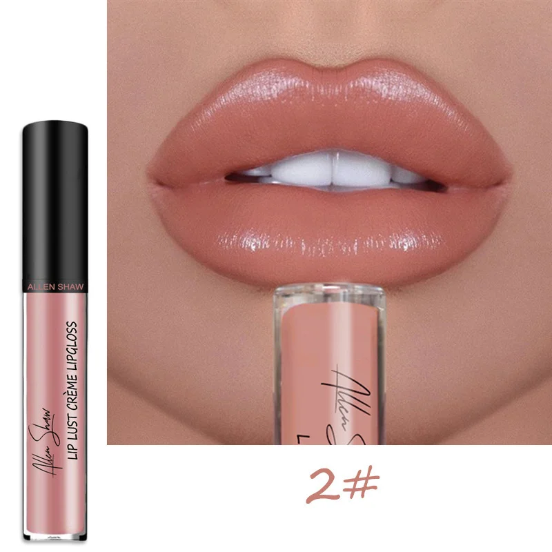 

Easy To Color Shiny Liquid Makeup Moisturizing Lip Gloss Nude Color Lipstick Waterproof Lasting Lip Gloss TSLM1