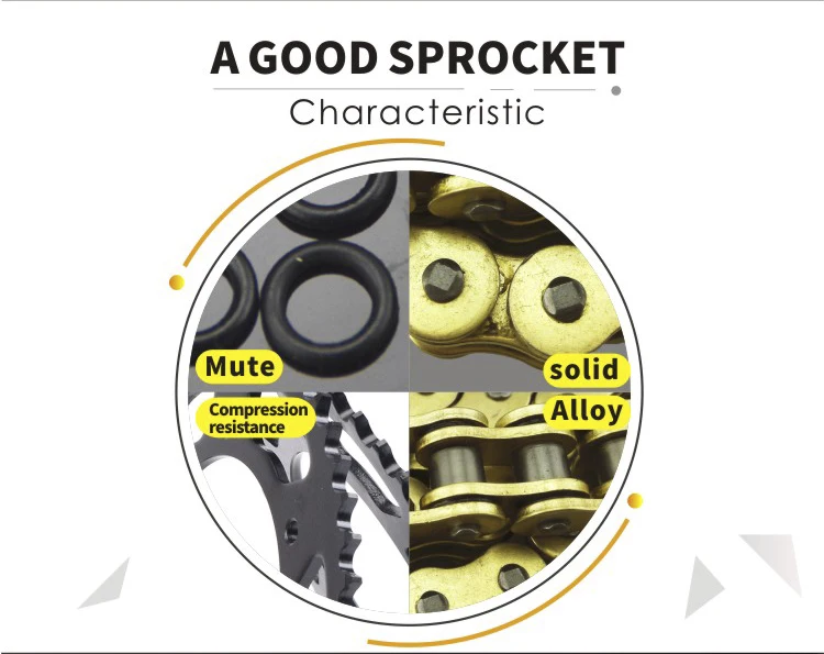 chain and sprocket-GT250-520 (4)