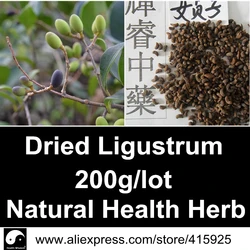 

Dried Ligustrum Lucidum 200g Natural Health Care Herbal Oleanolic Acid Chinese Glossy Privet Fruit