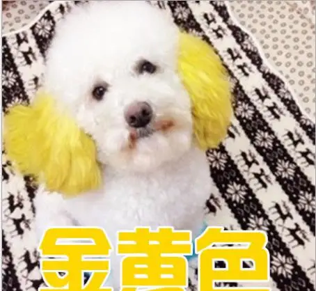 60g-Custom-Funny-Pet-Supplies-Pet-Cat-Dyestuffs-Dog-Dyeing-Agent-60g-Animals-Hair-Grooming-Shampoo (3)