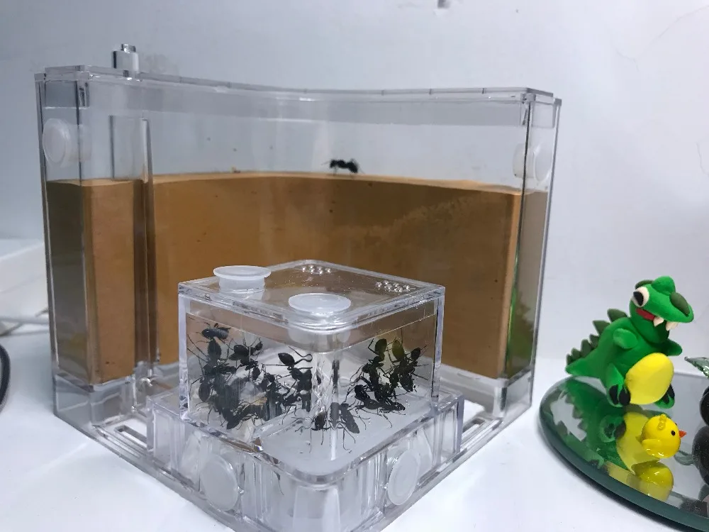 Прозрачный муравьиный дом заполняющий глиняный песок муравьи ферма насекомое гнездо Экология мания домашняя среда профессиональный замок лабиринт муравьиная вилла