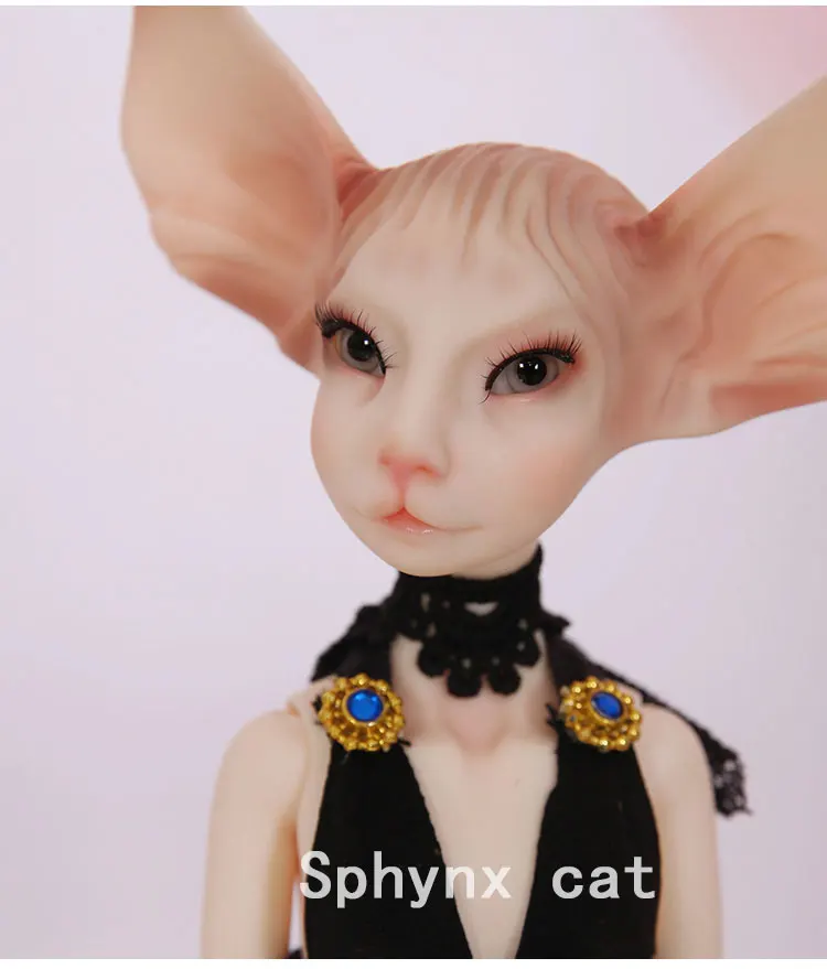 Sphynx-cat_03